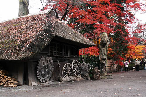 平林寺境内林の紅葉_f0030085_2112346.jpg