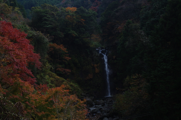 f0208490_1749548.jpg