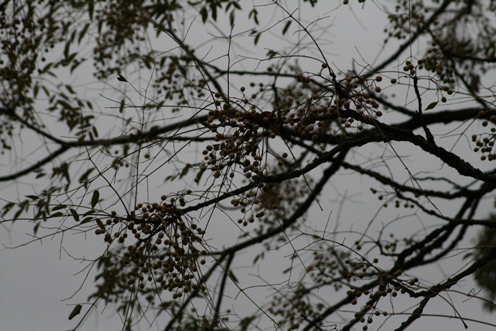 d0256891_16295115.jpg