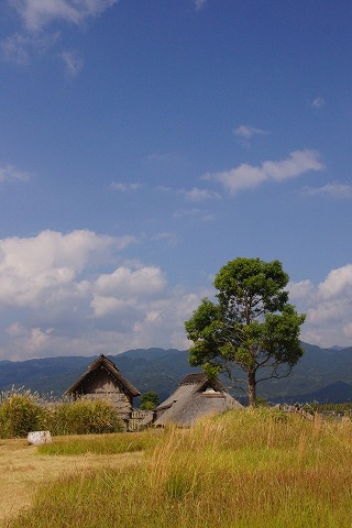 吉野ヶ里歴史公園_e0176993_7555510.jpg