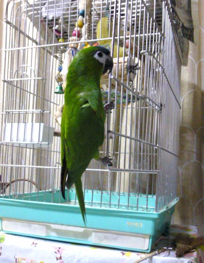 a0086994_17272488.jpg