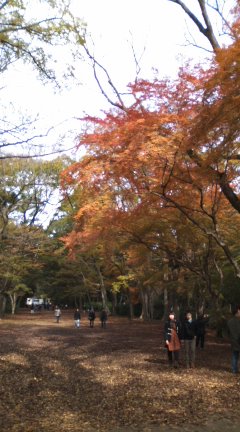 申餅（さるもち）　：さるや_b0205694_848203.jpg