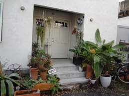b0146196_0152961.jpg