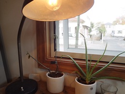 b0146196_0155517.jpg