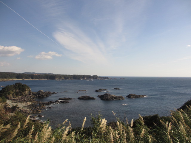 a0193698_196692.jpg