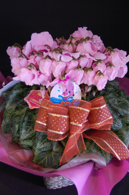 e0159798_12462534.jpg
