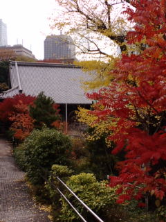 a0057402_19211748.jpg