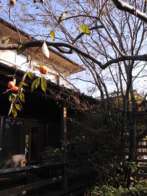 c0049902_2191854.jpg