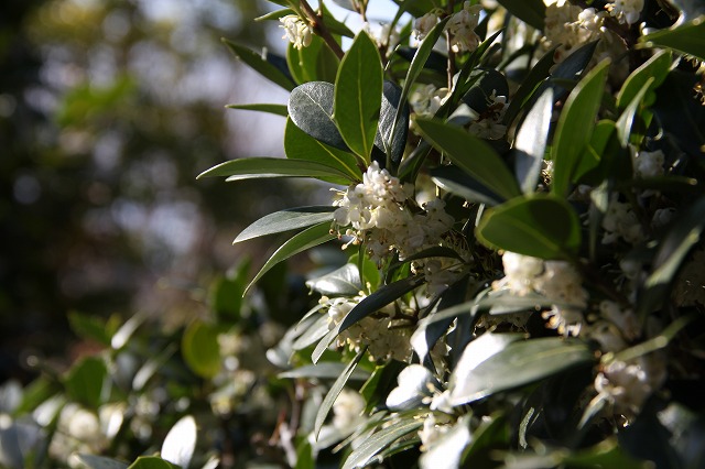 a0123003_1934327.jpg