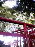 e0192203_955284.jpg