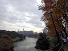 e0123104_8123339.jpg