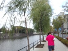 e0123104_8125987.jpg