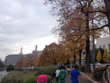 e0123104_8151057.jpg