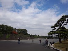 e0123104_893862.jpg