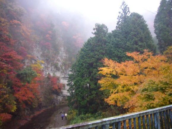 c0211305_14311777.jpg