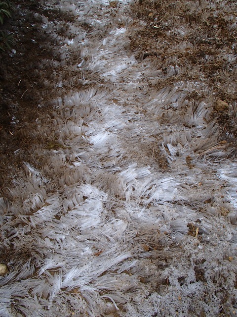 a0097006_056462.jpg