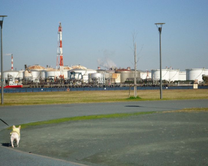 b0148106_6541366.jpg