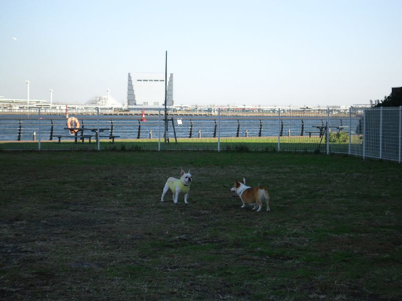 b0148106_712997.jpg