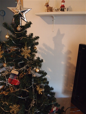 f0236607_183054.jpg