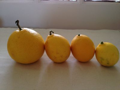 f0227709_2349293.jpg