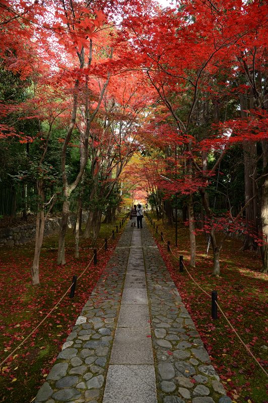 12京都の紅葉 鹿王院 デジタルな鍛冶屋の写真歩記