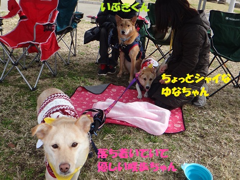 f0121712_1313092.jpg