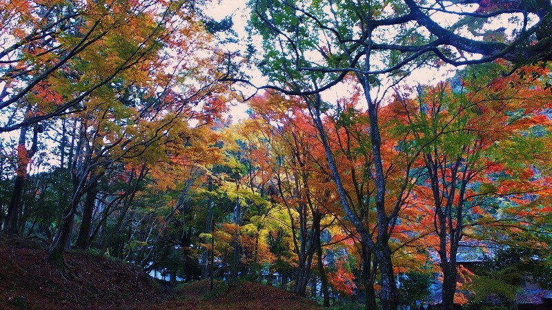 f0182513_2240103.jpg