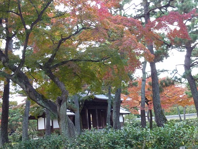 a0177314_16371672.jpg
