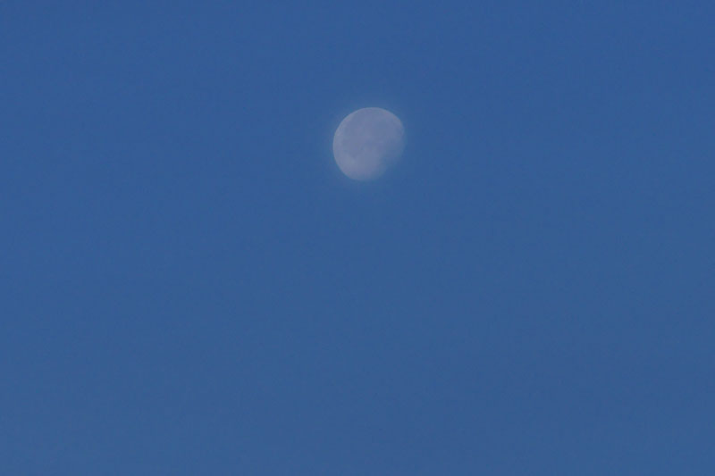 a0278914_4593583.jpg