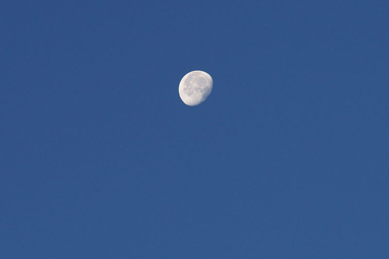 a0278914_523671.jpg