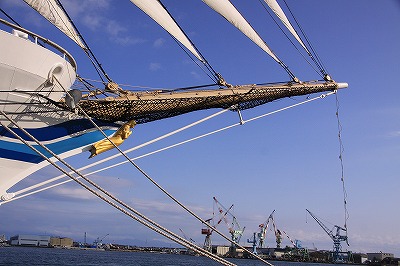 a0087818_18285376.jpg