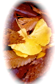 f0207320_10551477.jpg