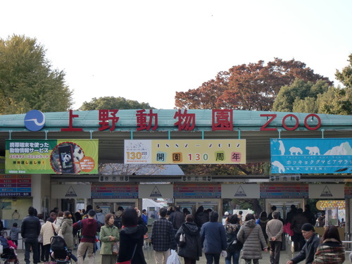 上野動物園　2012年11月　1_d0281322_22172943.jpg