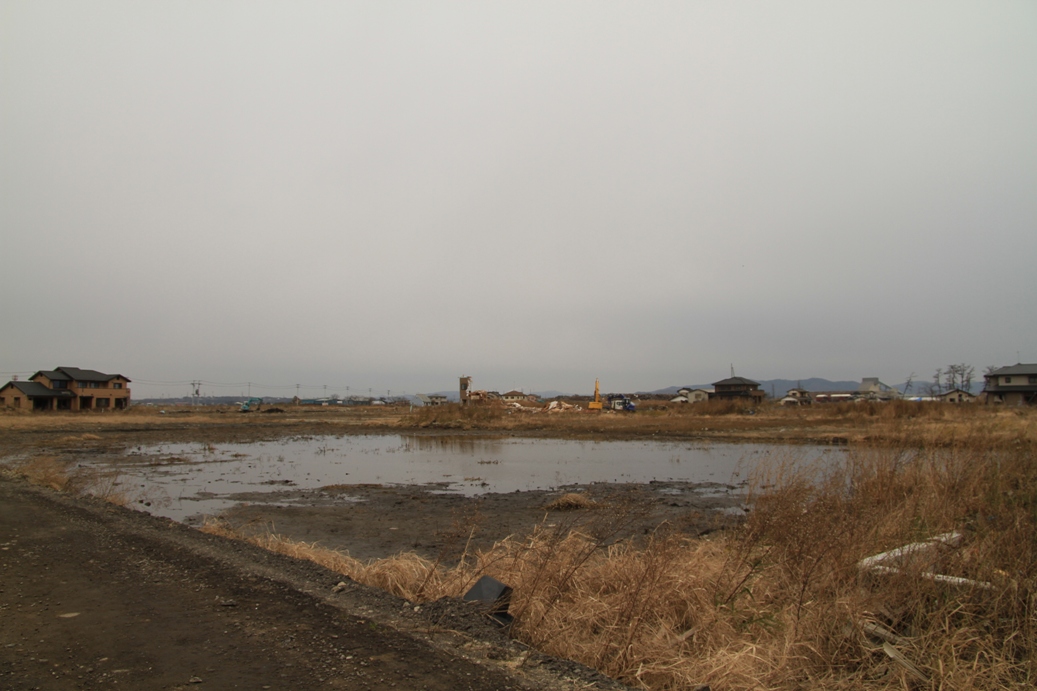 宮城県に行ってきました。_b0146723_04568.jpg