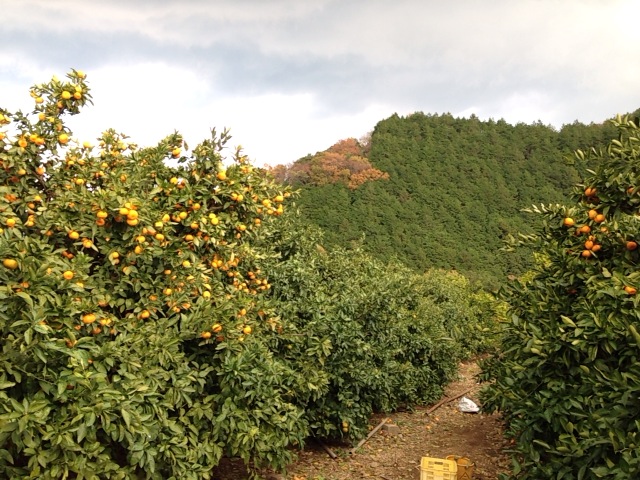 b0249826_23282157.jpg