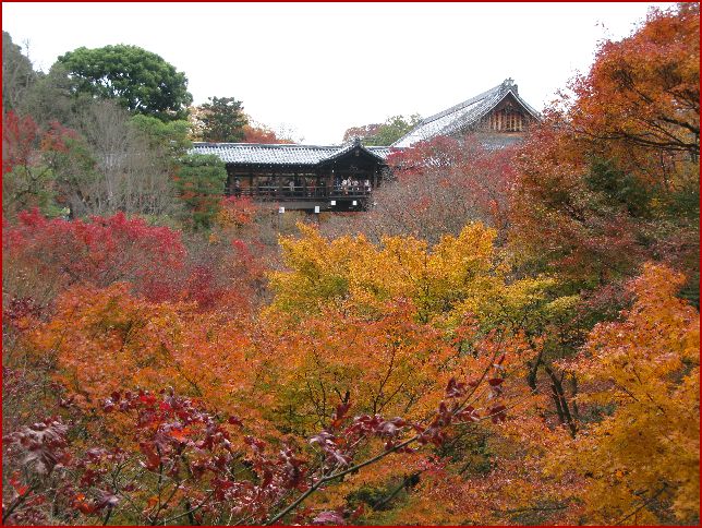 　　京の紅葉狩り　その２_d0092026_11352188.jpg