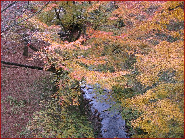 d0092026_1137045.jpg