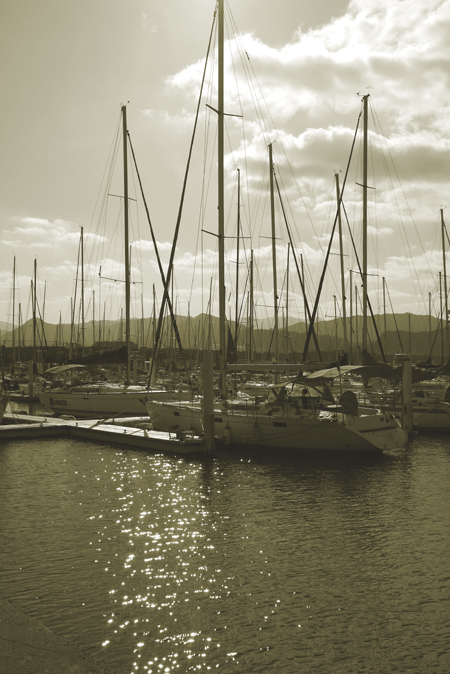 e0200926_975366.jpg