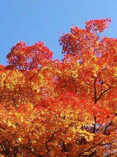 b0080027_14373769.jpg
