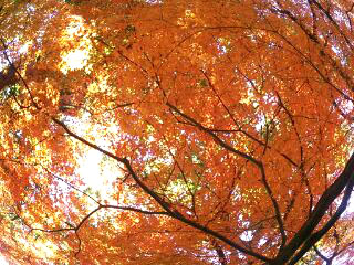 b0080027_14384846.jpg