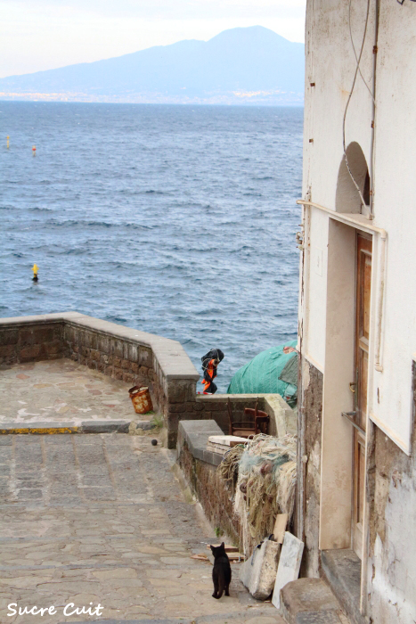 イタリアの旅の始まりは、Sorrento ソレントから。_c0127227_12404976.jpg