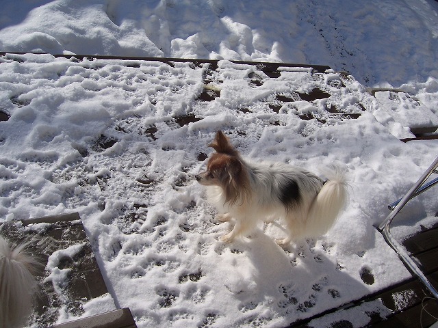 c0048940_22191365.jpg