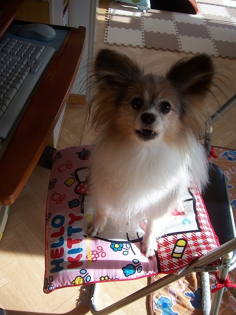 c0048940_22271942.jpg