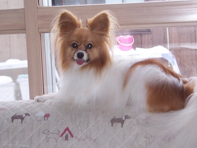 c0048940_22324621.jpg
