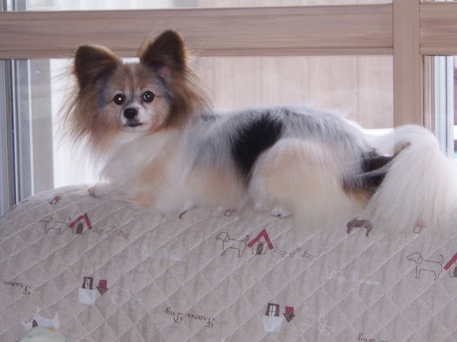 c0048940_22335637.jpg