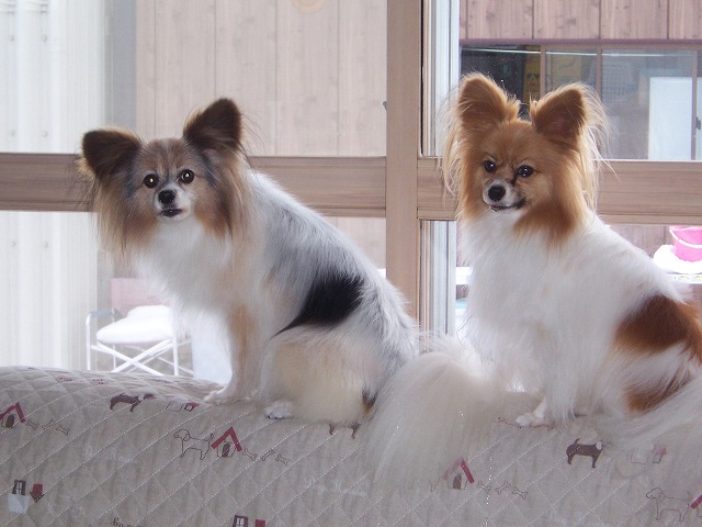 c0048940_22342536.jpg