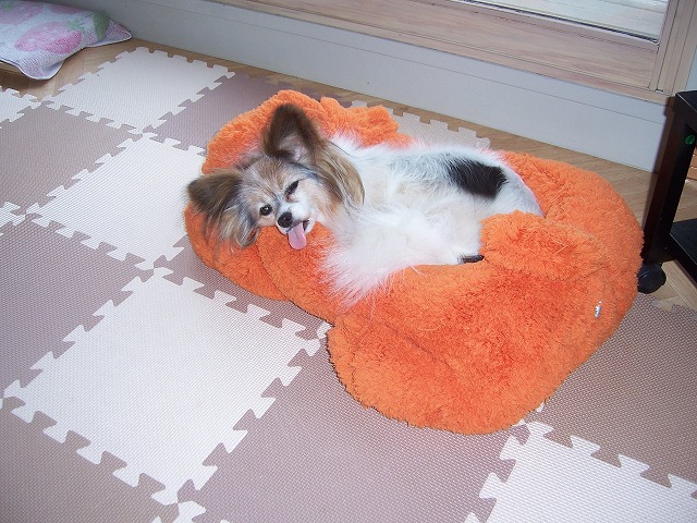 c0048940_2235944.jpg