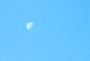 morning moon_e0230141_14313165.jpg