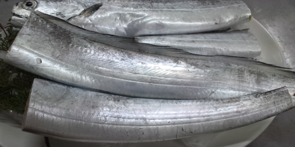 おはようございます お魚情報です 煮付けて美味 ほた 入荷 良い一日を 鹿児島市の魚専門店 満田商店です
