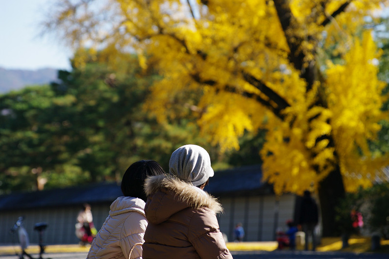 紅葉 2012　～京都御苑～_f0152550_22484243.jpg